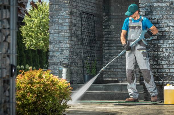 Best Gutter Cleaning  in Justin, TX