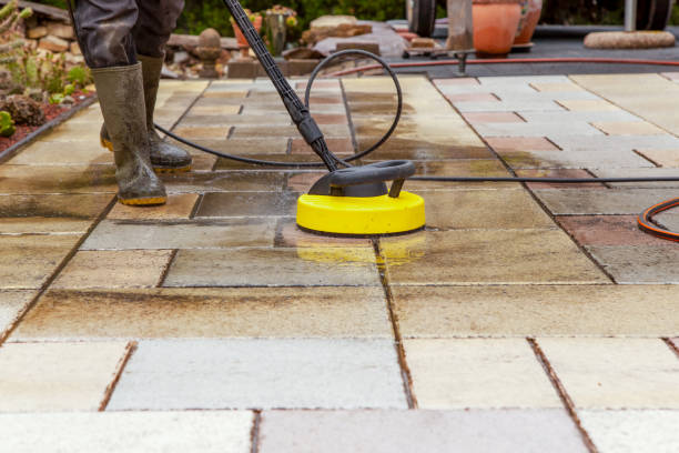 Best House Exterior Washing  in Justin, TX