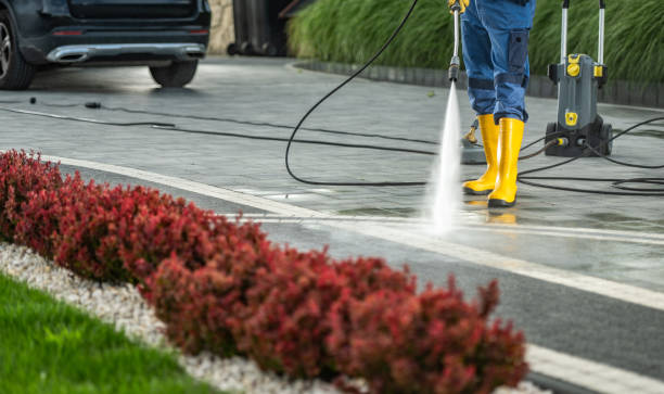 Best Sidewalk and Walkway Cleaning  in Justin, TX